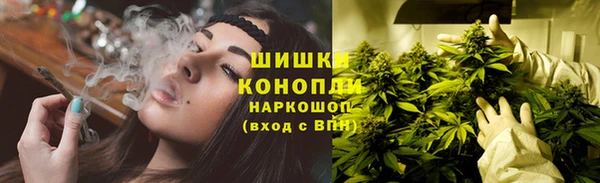 mix Богородск