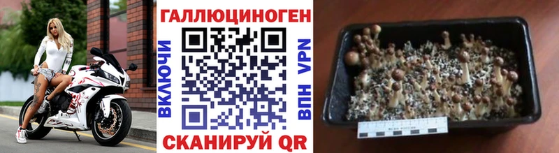Галлюциногенные грибы ЛСД  hydra ТОР  Нижневартовск 